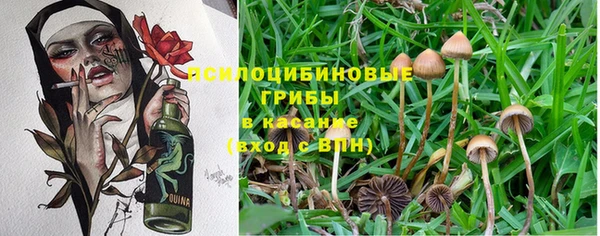 мяу мяу кристалл Бородино