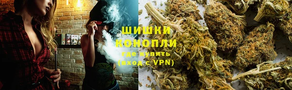 винт Бронницы