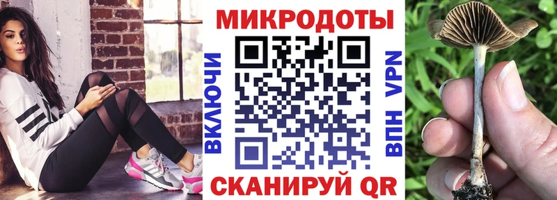цена   kraken как войти  Галлюциногенные грибы Cubensis  Гулькевичи 